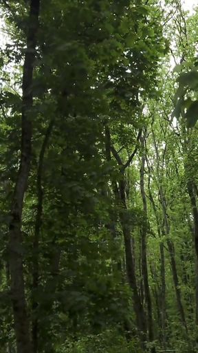 Unforgettable moment from &quot;trailer Mesmeriza 23 02 MOV CINEMA CLIP 321 20240814134325039&quot;