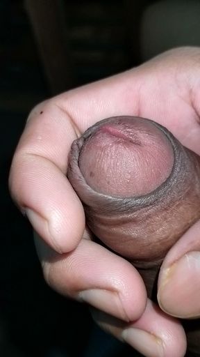 Soft to Hard Desi Big Cock Erection