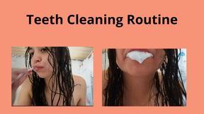 Teeth Cleaning Routine