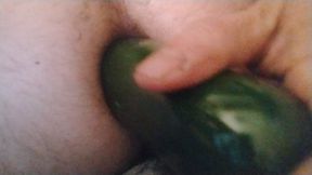 I need a real one right?