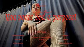 You never had a true purpose!