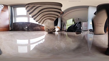 VR360 Shrunken Foot Slave