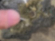 我慢できず放尿　Japanese pee 可愛い　ちんちんI couldn't hold back and urinated on her.