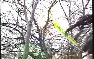 German outdoor sexxx bouncing tits - petra, natascha, beate, sandy - der