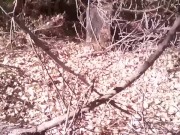 Outdoors Leak