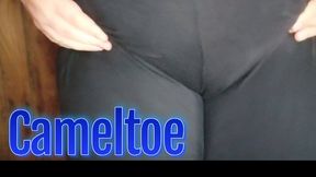 Cameltoe Fetish