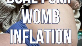 DUAL PUMP WOMB INFLATION