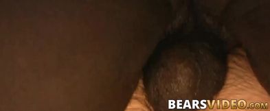 Chubby bear Jason Roman blows BBC before bareback doggystyle