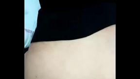 Sabry inculata da Gio