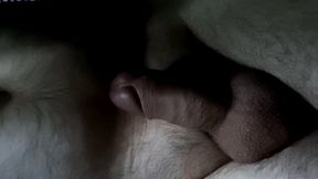 Timelapse of Cicci77 and Pedro at night! Strange movements under the covers!