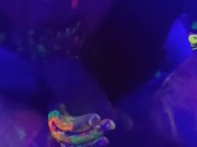Hot tinder college slut glow paint blacklight cock sucking