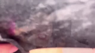 Thealogy Femdom Compilation – Ass, Tits, Humiliation &amp; Wallet Destruction