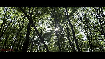 Mesmeriza 23 02 MOV CINEMA CLIP 321 20240814134325039
