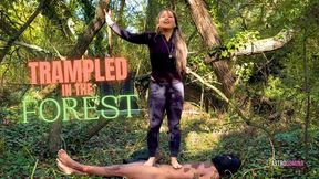 TRAMPLED IN THE FOREST feat AstroDomina (HD MP4)