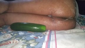 Big delicious juicy  ass fucking big cucumbers big gapesbeautiful rosebuds anal creampie