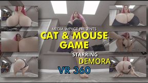 Cat And Mouse Game VR 360