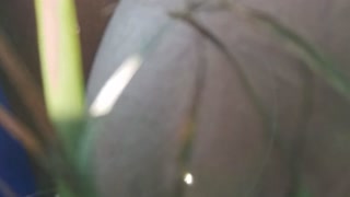 Indian Village highway outdoor sex 2024