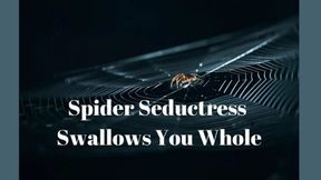 Spider Seductress Swallows You Whole - Extreme Erotic Vore Mind Melt