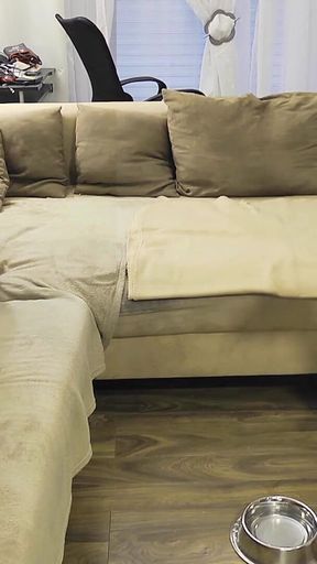 Petplay with Tranny Mean Girl! Stupid Pet Is Only Allowed to Hump the Couch!