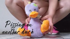 Pissing on another duck