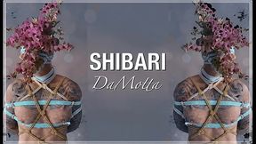 Shibari Da Motta