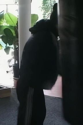 Fuck in the Ass and Cunt, Many Big Cocks