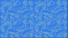 The Selkie (part 3)