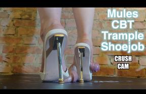 Cum inside my Mules! Hard CBT Trampling Shoejob with Inshoe Cumshot **CRUSH CAM version** 35 minute trample Odyssey