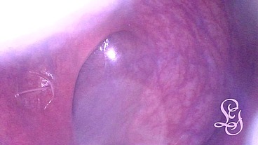 Travel inside my huge Ass Cave