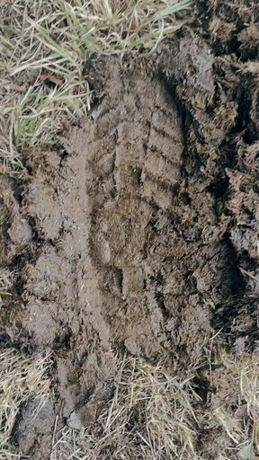 Trace it with your tongue