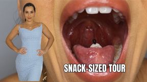 Snack-sized tour - OnlyVanessa