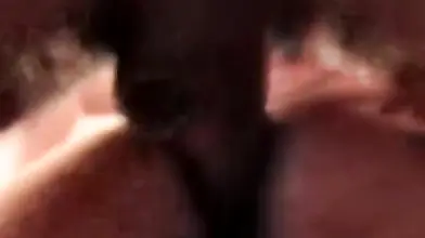 Trio of Lustful Lads Serve Up a Steaming Hot Mess of Unbridled Passion