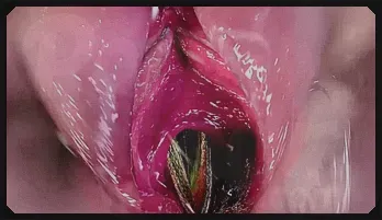 3D Animated Threesome with Busty Babes & Big Cock Trending