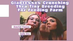 Giantesses Crunching Thru Tiny Breeding For Feeding Farm!