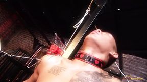 Bound servant pleases his master with mouth and lets them ride his shaft