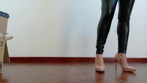 Stilettos Vs Cardboard