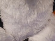 Elastrator Play with @AngryBarks Good Boys Get Neutered!