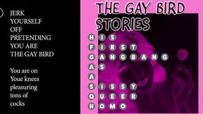 the gay bird stories joi as you d to be the gay sissy homo slut by vinny