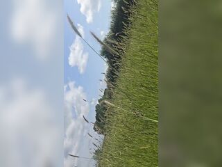 Kneeling and pissing in a precious-looking field on a sunny day