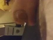 DUMB PUPPY DOESN'T KNOW HOW TO USE A CAMERA