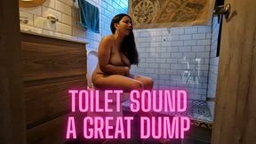 Toilet sound - A great dump