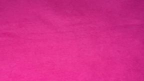 $1000 All For Goddess