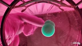 A View From the Bottom