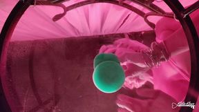 A View From the Bottom