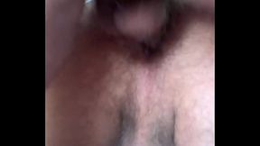 osos dando verga a un cub