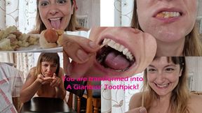 A Giantess' Toothpick 720p MP4