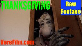 Thanksgiving raw footage 540res SD