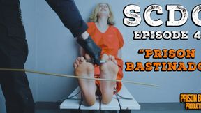 Stanford County Detention Center - EPISODE 4 - Prison Bastinado