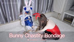 KMM-Pro-18 - Bunny Bondage Chastity