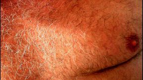 Gay bear big belly hunk muscle bear biceps training . Film muscle gayman hairy bodybuilder